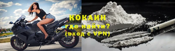 ALPHA PVP Остров