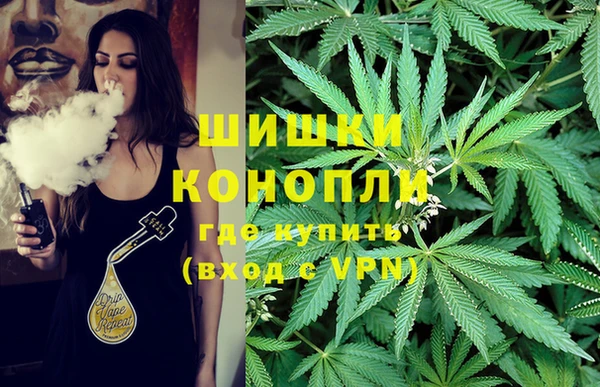 тгк Осинники