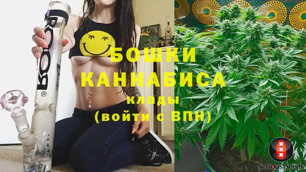 тгк Осинники