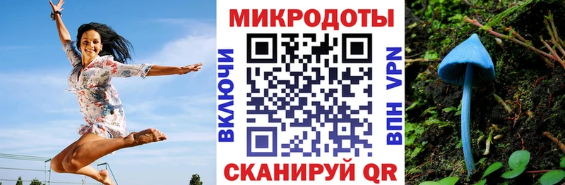 что такое   Белый  гидра ONION  Галлюциногенные грибы Cubensis 